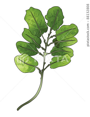Branch leaves eco green in watercolor style on white background. Leaves on a branch to decorate the Branch leaves eco green in watercolor style on white background. Leaves on a branch to decorate the 88132808