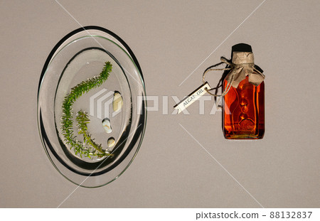 Glass bottle with algae oil and live seaweed on brown paper 88132837