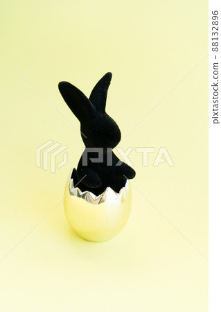 Egg hunt with Easter white bunny Egg hunt with Easter white bunny 88132896
