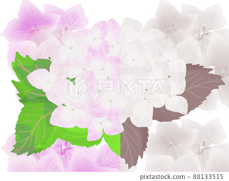 野花背景粉紅色和繡球花與顏色 88133515