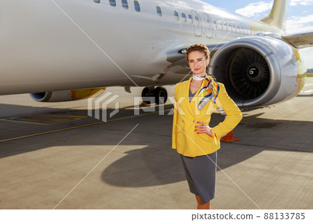 Stewardess or air hostess standing near aircraft at airport 88133785