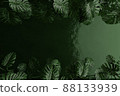 Jungle background, Top view of tropical leaves on green water backdrop. 3d render. 88133939