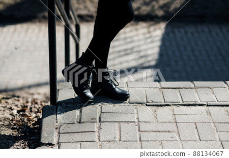 Female legs in black pantyhose Female legs in black pantyhose 88134067