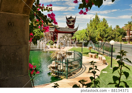 Pool garden Pool garden 88134371