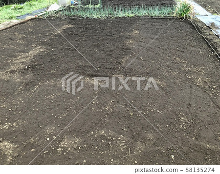 賽艇前的場地 88135274