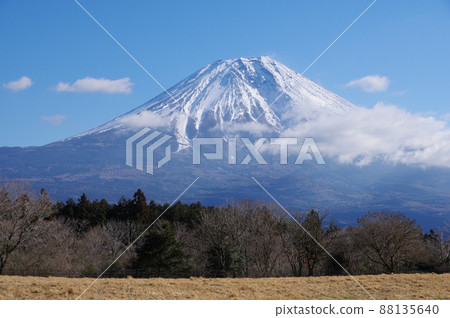 Snow-capped Mt. Fuji View from Asagiri Kogen 88135640