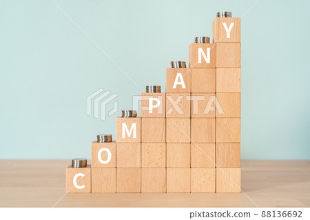 Company image | Building blocks and coins with "COMPANY" written on them 88136692