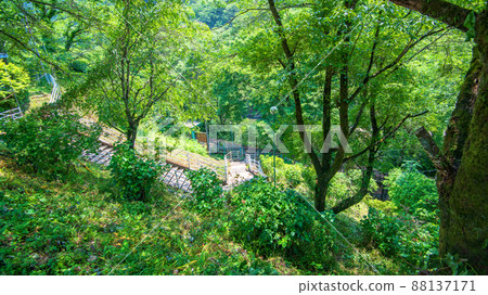 從渡瀨溪谷鐵道本宿站渡瀨溪谷初夏的景色 88137171