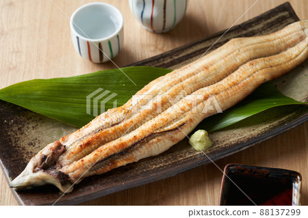 鰻魚燃燒 88137299