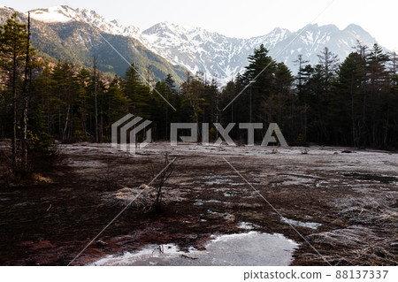 Frozen Tashiro Marsh in the early morning 88137337