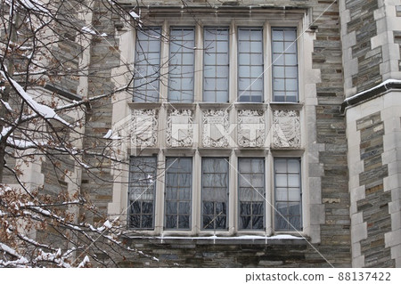 普林斯頓大學冬季 普林斯頓大學冬季 88137422