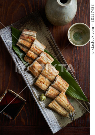 鰻魚燃燒 88137488