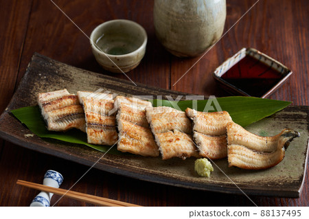 Eel burning 88137495