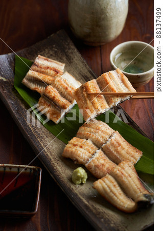 鰻魚燃燒 88137499