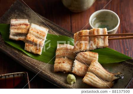 Eel burning 88137500