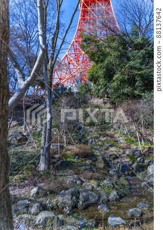 Tokyo Tower, a tourist attraction seen from Momiji Valley 88137642