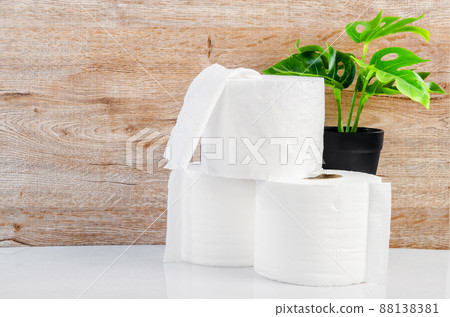 Tissue paper rolls and green leaves on white background. 88138381