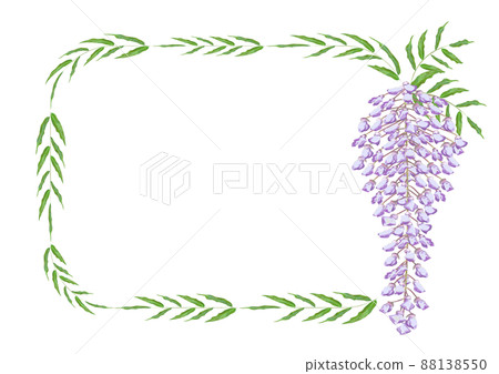 Wisteria flower frame Wisteria flower frame 88138550