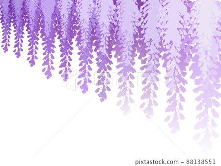 Wisteria flowers Wisteria flowers 88138551