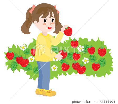 Girls picking strawberry 88141394
