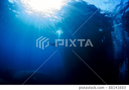 水下風景, 寬闊, 地形, 泰國, 斯米蘭. 3 88141683