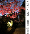 Autumn leaves of Mt. Koya 88141813