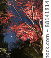 Moon and autumn leaves 88141814