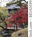 Great Buddha Hall Autumn leaves 88142099