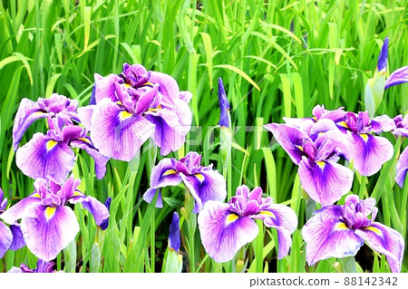 明科綾女公園 明科綾女公園 88142342