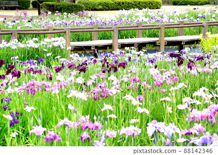 明科綾女公園 明科綾女公園 88142346