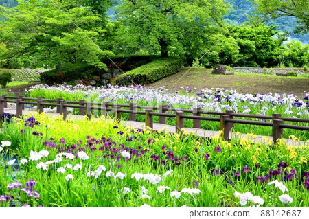 明科綾女公園 明科綾女公園 88142687