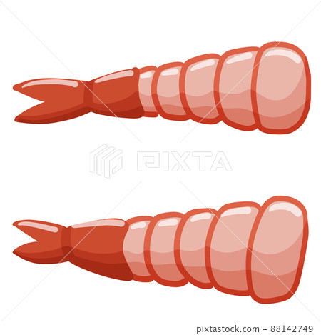 Shrimp. Meat and seafood. Tail of sea animal. Shrimp. Meat and seafood. Tail of sea animal. 88142749