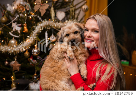 A woman holds a dog in her arms and stands in front of a Christmas tree. 88142799