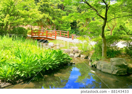 Yahiko Park in summer 88143433