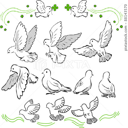 鴿子手繪風格插畫素材 鴿子手繪風格插畫素材 88143570