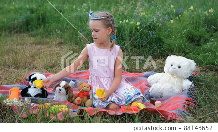 Cute 6-year Old Little Girl Playing with Stuffed Toys while Sitting on the Plaid in Summer Meadow. Happy Childhood Concept 88143652