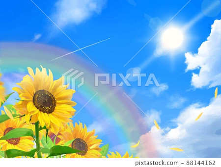 多風的彩虹和藍天與雲彩的凝結尾跡-美麗的向日葵在陽光下綻放初夏框架背景材料 88144162