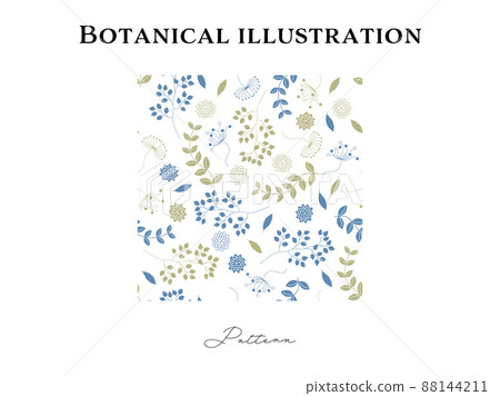 Botanical seamless pattern (plants) 88144211