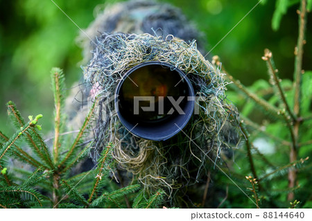Wildlife photographer on big lake background in summer time Wildlife photographer on big lake background in summer time 88144640