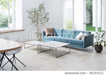 生活/房子 88145521