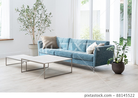 Living / house 88145522
