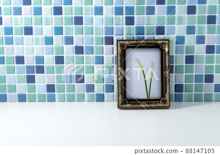 frame, phalaenopsis orchid, photo stand 88147105