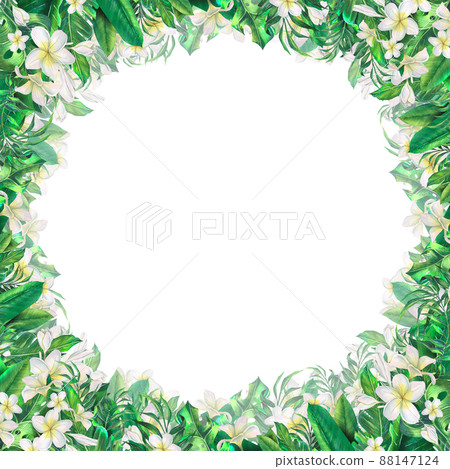 Watercolor illustration frame with tropical leaves, plumeria flowers. Beach, wedding, summer, exotic. For menus, postcard design, invitations, presentations, information boards. Watercolor illustration frame with tropical leaves, plumeria flowers. Beach, wedding, summer, exotic. For menus, postcard design, invitations, presentations, information boards. 88147124