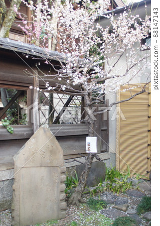 菅原院天滿宮 京都府 88147143