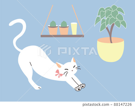 Houseplants and growing cats 88147226