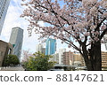 Cherry blossoms along the canal 88147621