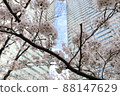 Skyscrapers and cherry blossoms looking up from below 88147629