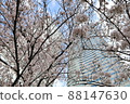 Skyscrapers and cherry blossoms looking up from below 88147630
