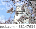 Skyscrapers and cherry blossoms looking up from below 88147634