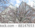 Skyscrapers and cherry blossoms looking up from below 88147653
